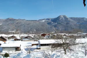 Bild 14: Gemütliches Apartment für Zwei