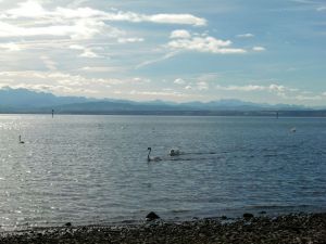 Hintergrund Alpenpanorama