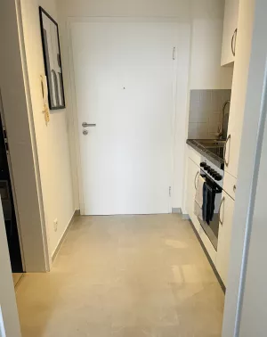 Eingangsbereich mit Küchenzeile.