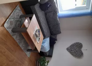 Wohnschlafzimmer