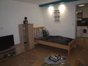 Wohnschlafzimmer mit Einzelbett