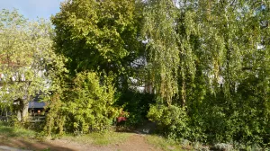 Bild 17: Odins Ferienwohnung - Ankommen und Wohlfühlen