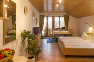 Wohn-Schlafbereich in der 1-Zimmer-FeWo