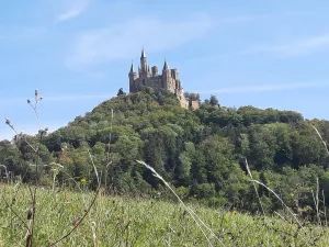 Bild 17: Gästehaus Zollerblick, Fewo am Fuße der Burg Hohenzollern