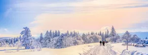 Auch im Winter ein Traum in Freudenstadt in Schwarzwald, Langlaufloipen und Skilift Stokiger sind ganz in der Nähe