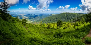 Traumhafte Location für den Urlaub im Schwarzwald, Wandern, Radfahren, Hundetraining, Skifahren, Langlauf, Wellness und mehr.