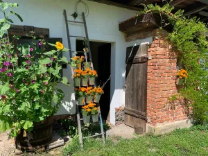 Bild 15: Kellerstöckl auf der "Varm - the vegan Farm" - der bio-vegane Lebenshof
