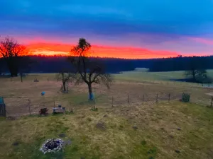 Bild 21: Kellerstöckl auf der "Varm - the vegan Farm" - der bio-vegane Lebenshof