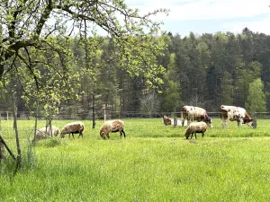 Bild 22: Kellerstöckl auf der "Varm - the vegan Farm" - der bio-vegane Lebenshof