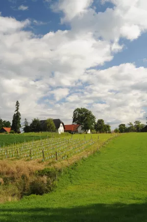 Bild 24: Kellerstöckl auf der "Varm - the vegan Farm" - der bio-vegane Lebenshof