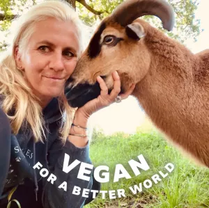 Bild 31: Kellerstöckl auf der "Varm - the vegan Farm" - der bio-vegane Lebenshof