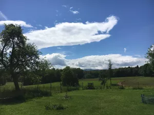 Bild 35: Kellerstöckl auf der "Varm - the vegan Farm" - der bio-vegane Lebenshof