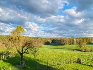Bild 36: Kellerstöckl auf der "Varm - the vegan Farm" - der bio-vegane Lebenshof