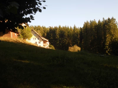 Ferienwohnung in Bonndorf im Schwarzwald: Ruhige, sonnige Bio-Ferienwohnung im Wald in Fast-Alleinlage