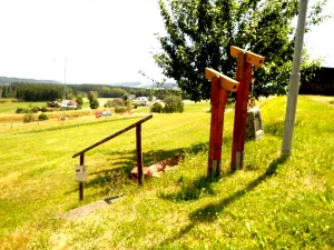 Bild 6: Ruhige, sonnige Bio-Ferienwohnung im Wald in Fast-Alleinlage