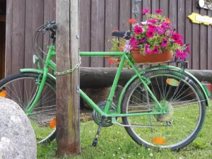Bild 13: Ruhige, sonnige Bio-Ferienwohnung im Wald in Fast-Alleinlage