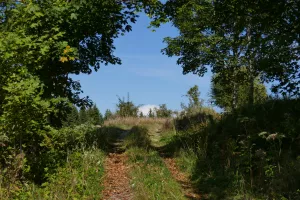 Bild 11: Ruhige, sonnige Bio-Ferienwohnung im Wald in Fast-Alleinlage