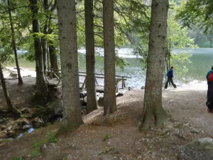 Bild 9: Ruhige, sonnige Bio-Ferienwohnung im Wald in Fast-Alleinlage