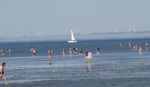 Bild 4: Nordseeheilbad Cuxhaven - Sonnige Wintergarten-Ferienwohnung am Strand