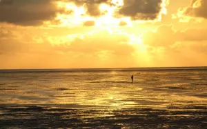 Bild 5: Nordseeheilbad Cuxhaven - Sonnige Wintergarten-Ferienwohnung am Strand