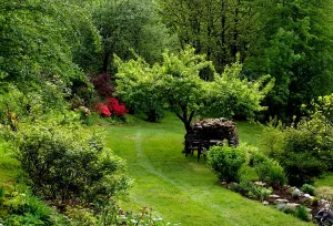 Bild 6: Ferienhaus am Lago Maggiore im Schweizer Teil ein Bungalow im Tessin