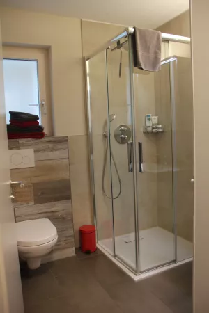 Bad mit WC, ebenerdiger Dusche und Lavabo.
Frotteewäsche als auch Shampoo, Duschmittel sind inklusive