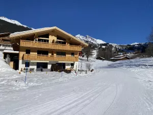Das Studio liegt direkt an der Abfahrtspiste des Skigebiets First. In den letzten zwei Jahren war eine Abfahrt vor das Haus aufgrund von zu wenig Schnee jedoch nur noch selten möglich