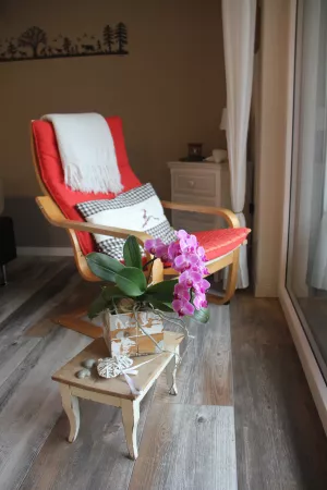 Mit Aussicht in den Garten ein Buch geniessen