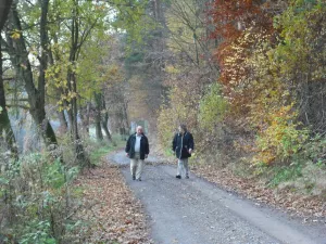 Bild 15: Ferienhaus Künzl im Waldecker Land in der Nähe vom Edersee