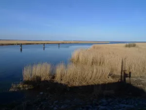 Bild 8: Ferienhaus Bernd in Bresewitz, kurz vor Zingst