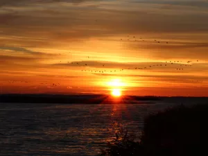 Bild 9: Ferienhaus Bernd in Bresewitz, kurz vor Zingst