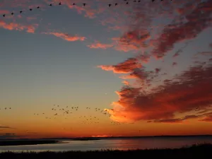 Bild 10: Ferienhaus Bernd in Bresewitz, kurz vor Zingst