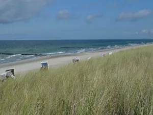 Bild 11: Ferienhaus Bernd in Bresewitz, kurz vor Zingst