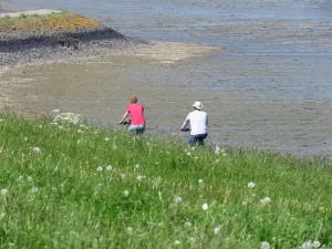Bild 15: Ferienwohnung mit Terrasse und Sauna in Ostfriesland