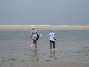 Bild 12: Ferienwohnung mit Terrasse und Sauna in Ostfriesland