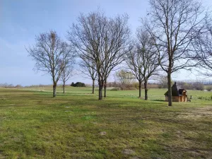 Der Golfplatz grenzt direkt an - dahinter die Ostsee