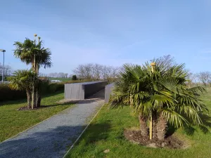 Direkt am Parkplatz stehen die Fahrradgaragen hinter Palmen