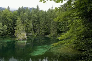 Klares, grünes Wasser, aber kalt