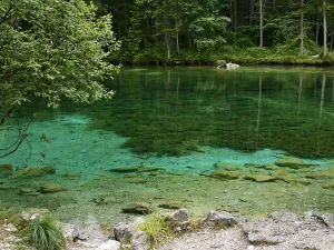 Hier gibt es dicke Fische