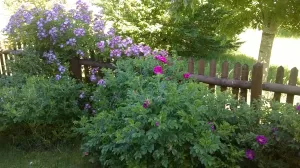 Bild 13: FerienwohnungSalem in ruhiger und zentraler Lage