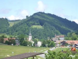 Bild 12: Ferienwohnung FalkenNest