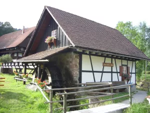 Bild 14: Ferienwohnung FalkenNest