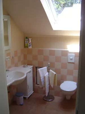 Sie haben ein geräumiges Tageslichtbad mit ebenerdiger Dusche.