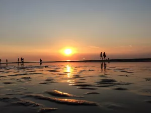 Bild 14: Ferienhaus 23, Bungalowpark Puik en Duin Noordwijk am Meer