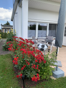 Ansicht Ferienhaus 5