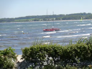 Bild 11: Ferienwohnung Wildrose Ostseebad - Hohwacht