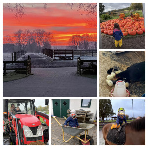 Ansicht Ferienwohnung 1