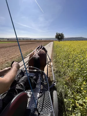 Kutschfahrten buchbar