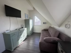 zusätzliche Schlafcouch und TV