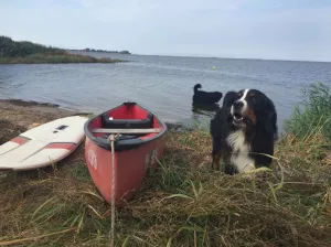 lange Spaziergänge am Strand